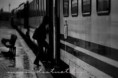 /album/resim-galerisi/images-12-jpg/